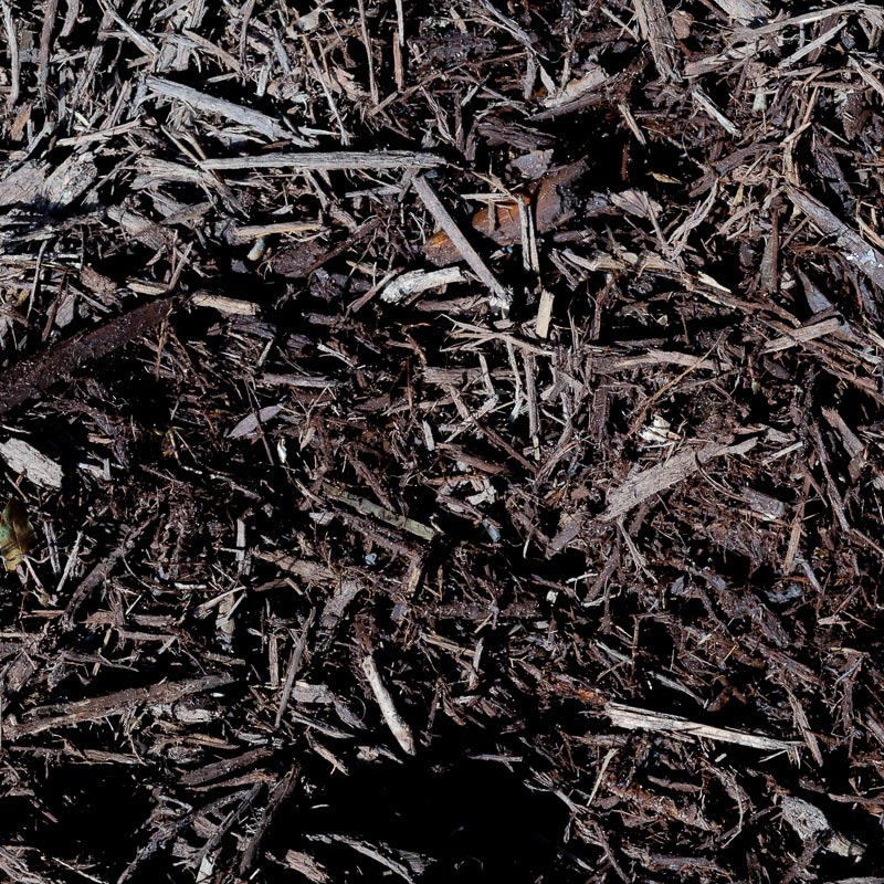 Chocolate Mulch