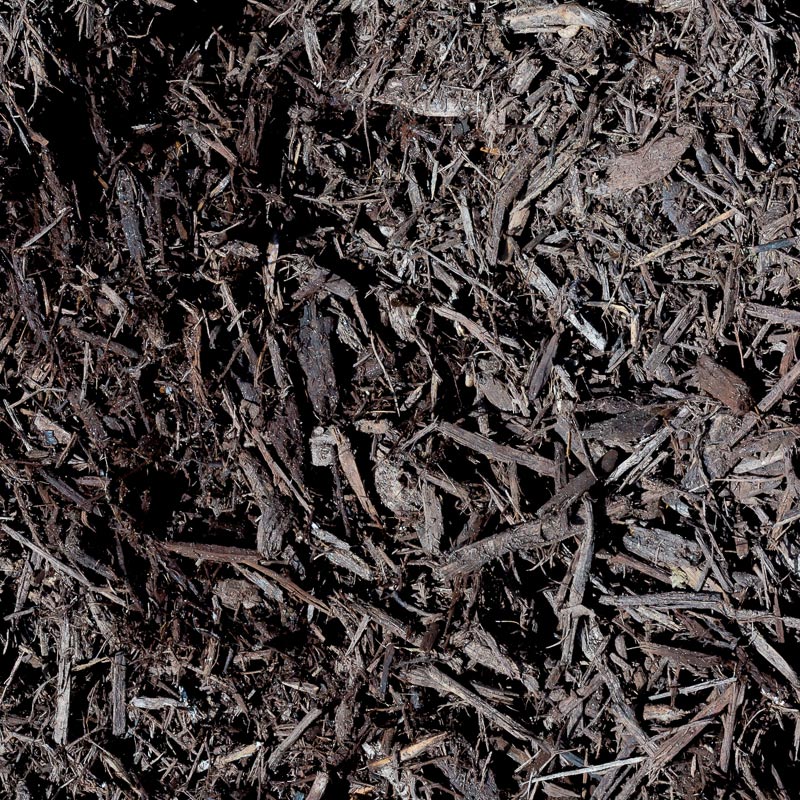 Chocolate Mulch