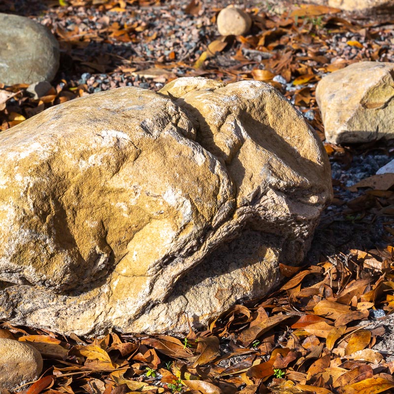 brown boulders for landscaping jacksonville fl