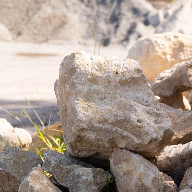 limestone boulders jacksonville fl 