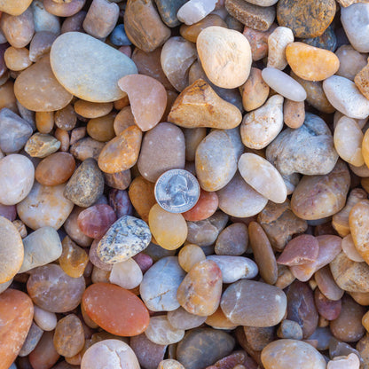 Sample 1 of Alabama sunset rock gravel for sale in hues of white, nude, yellow, orange and red. A US quarter coin sits in the middle to demonstrate gravel's size variations.