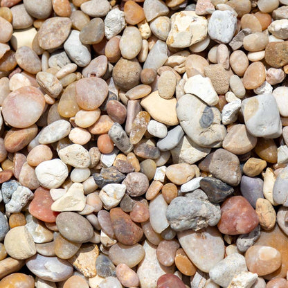 Sample 2 of Alabama sunset river rock gravel for sale with a concentration of various shades of white and cream