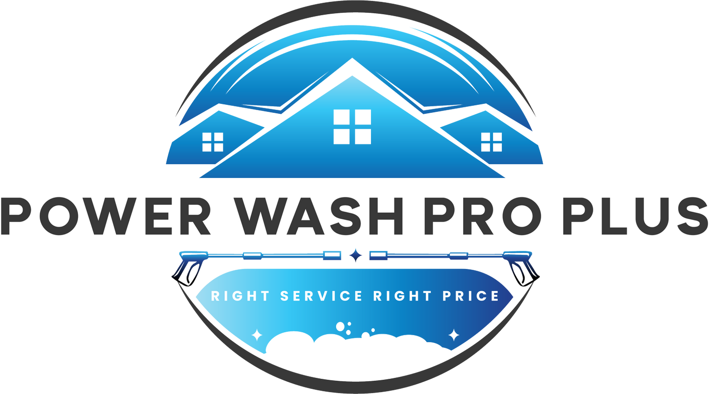professional pressure washing
