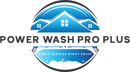professional pressure washing