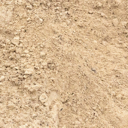 Yellow Sand