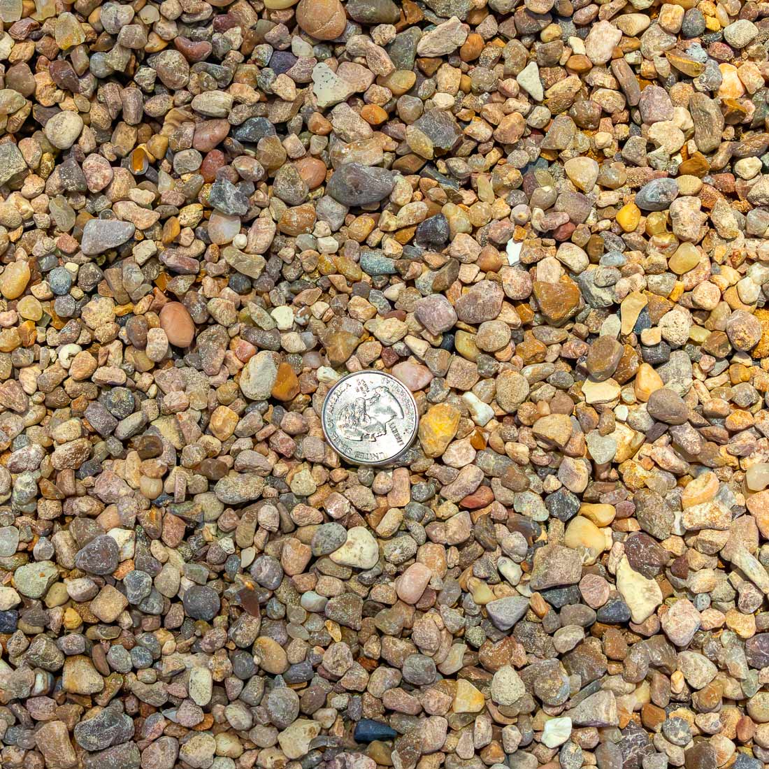 Brown River Rock - Extra Small #89