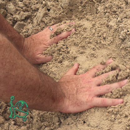 Yellow Sand